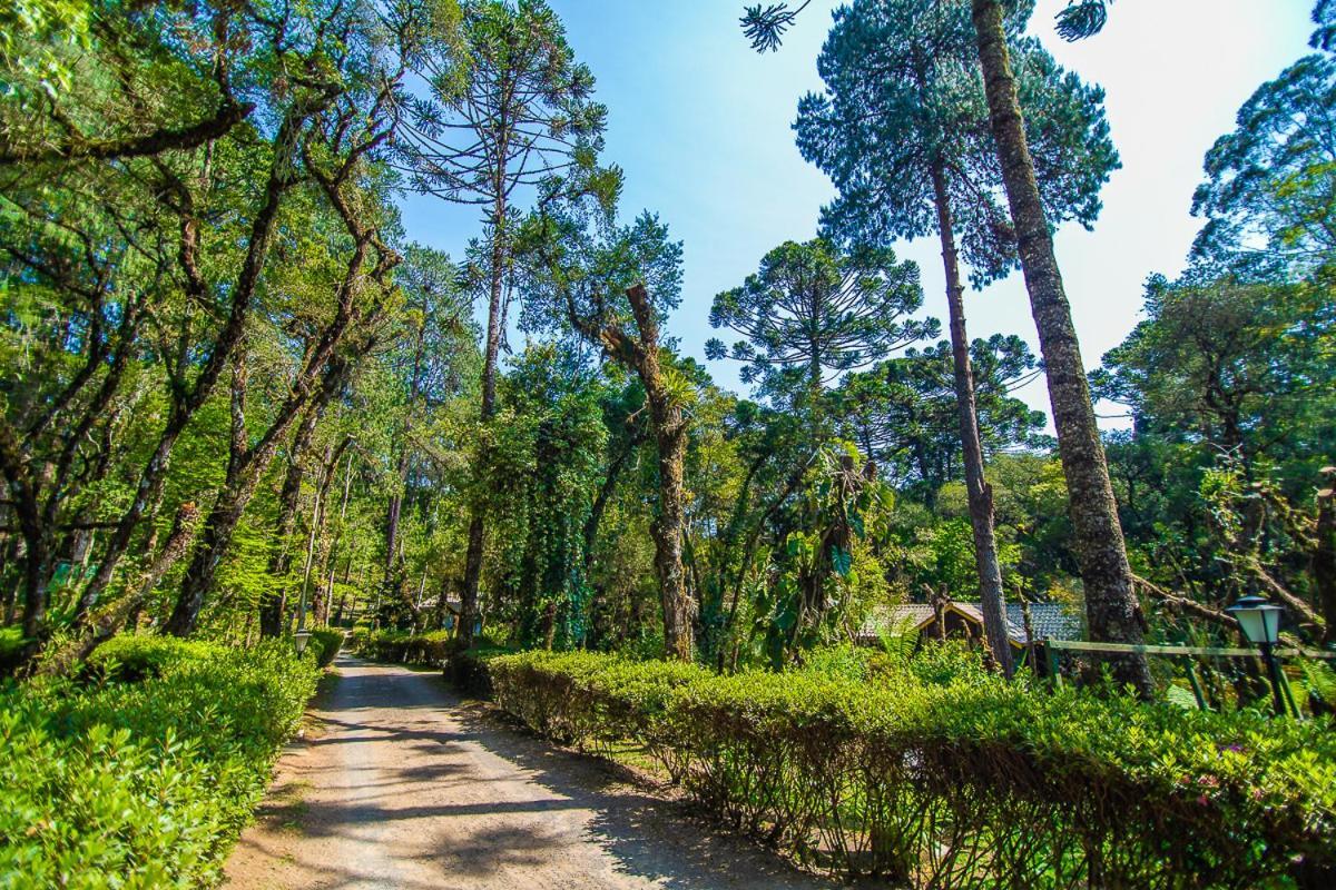 Pousada Villa D'Amore Monte Verde  Buitenkant foto