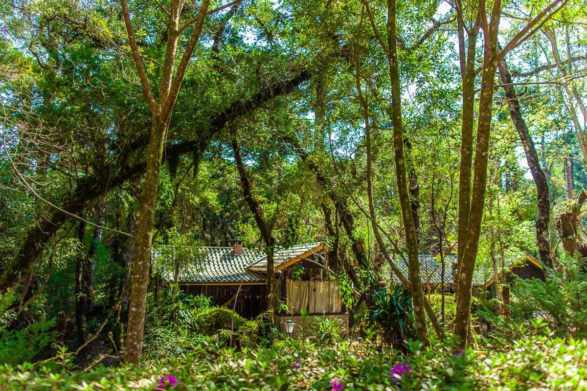 Pousada Villa D'Amore Monte Verde  Buitenkant foto